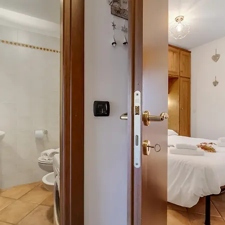 Apartment Wolf & Deer Ski-in Ski-out 250m - Happy