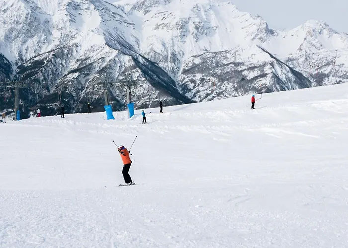 Wolf & Deer Ski-in Ski-out 250m - Happy * 塞斯特雷