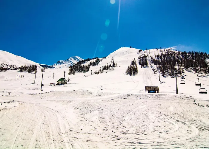 Wolf & Deer Ski-in Ski-out 250m - Happy